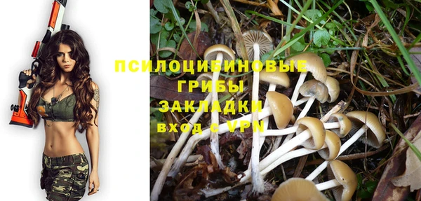 ешки Бугульма