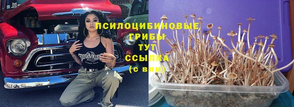 а пвп мука Богданович