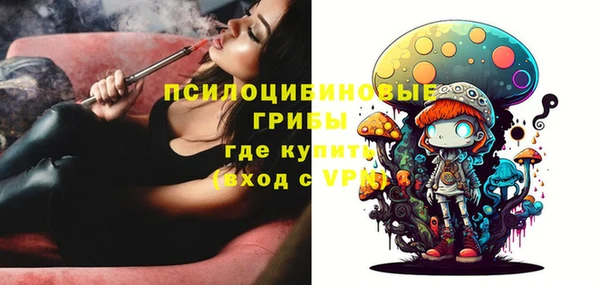 ешки Бугульма
