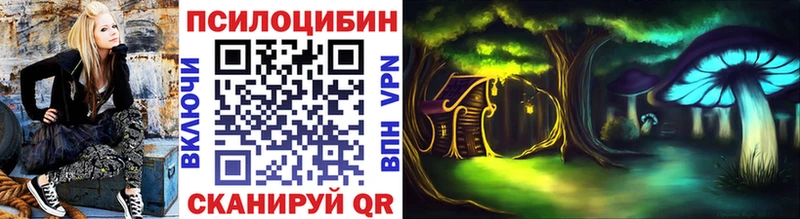 Псилоцибиновые грибы Psilocybine cubensis Каменск-Уральский